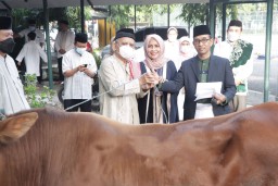 Unitomo Sembelih 10 Ekor Sapi dan 2 Kambing Qurban Bebas PMK