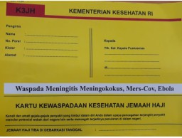 Pemantauan Kesehatan Pasca Kepulangan Jemaah Haji Sebagai Deteksi Dini Penyakit Menular