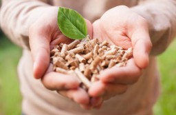 Pemerintah Dorong Pemanfaatan Biomassa Dalam Transisi Energi