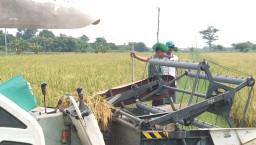 Babinsa Duduksampeyan Berikan Dorongan Petani untuk Mendongkrak Swasembada Pangan di Wilayah