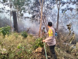 Kebakaran Hutan di Desa Pinggan Kintamani , ini yang dilakukan Polsek Kintamani