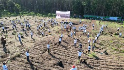 Perhutani Divre Jatim Groundbreaking Tanaman Tahun 2023 di KPH Jember