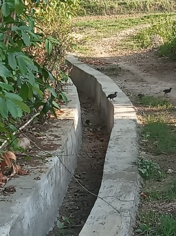 Diduga Oknum Kades dan BPD Desa Karang Gayam Kurangi Material Proyek Drainase
