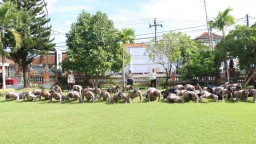 Wakapolresta Denpasar Tekankan Kedisiplinan dan Kewaspadaan Menjelang Pemilu Kepada Personel Polresta