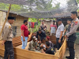 Polres Situbondo Gerebek Judi Sabung Ayam Amankan 4 Tersangka, 7 Ayam Aduan dan 10 Motor