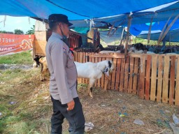 Menjelang Hari Raya Idul Adha, Bhabinkamtibmas Polsek Denbar Pantau Aktivitas Penjualan Hewan Kurban