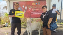 Jelang Hari Raya Idul Adha 2024 Media Nusantarajayanews dan Zonaperistiwa Mendapatkan Hewan Qurban