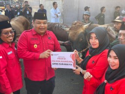 PDIP Surabaya Potong 15 Sapi saat Idul Adha, Eri Cahyadi-Armuji: Perkuat Kesolidan dan Gotong Royon