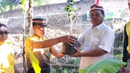 Menyambut HUT Bhayangkara Ke 78 Polsek Denbar Laksanakan Penanaman 175 Bibit Pohon