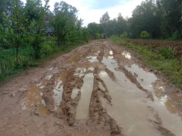 Waduh! Ratusan Ruas Jalan Kabupaten di Sampang Diturunkan Statusnya Jadi Jalan Desa