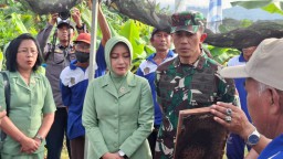 Pangdam Bersama Masyarakat Panen Madu Program Unggulan Kodim 1617/Jembrana