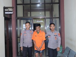 Polres Pringsewu Tangkap Pria Diduga Lakukan Persetubuhan terhadap Anak 14 Tahun