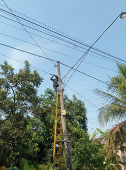 PLN Icon Plus Menata Kabel di Tiang PLN Kota Surabaya