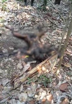 Bikin Gempar Penemuan Mayat Tanpa Identitas Ditengah Kebun Tidak Jauh Dari Permukiman Warga