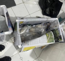 Polda Lampung Gagalkan Penyelundupan 149.400 Benih Lobster Tanpa Izin