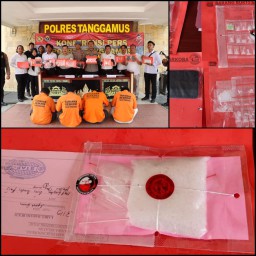 Satresnarkoba Polres Tanggamus Ungkap 4 Kasus Kasus Dugaan Peredaran Narkotika Selama Awal November 2024