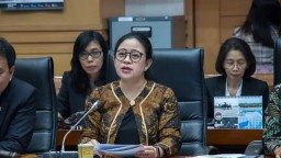 DPR RI dan Penegakan UU TPKS: Sorotan dan Harapan ke Depan