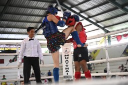 Kejuaraan Provinsi Muaythai Jatim 2024: Lahirkan Talenta Baru dan Bangkitkan Daerah Jatim