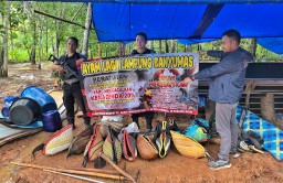 Gerebek Arena Sabung Ayam Di Pekon Banyumas,Polisi Amankan Puluhan Sepeda Motor dan Ayam Aduan