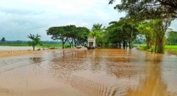 Pusat Pemerintahan Kabupaten Pringsewu Terdampak Banjir