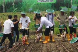 DUKUNG PROGRAM PEMERINTAH PERHUTANI DIVRE JATIM BERSAMA STAKEHOLDER DI BOJONEGORO IKUTI TANAM SERENTAK AGROFORESTRY PADI
