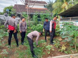 Polsek Kawasan Pelabuhan Gilimanuk Rawat Tanaman P2B dan Ikan di Halaman Belakang Mako