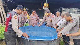 Launching Program Pekarangan Pangan Lestari, Dukung Ketahanan Pangan dan Makan Bergizi Gratis