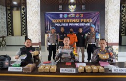 Polres Pringsewu Tangkap Pengedar 76 Kg Ganja dan Pemilik Senjata Api Ilegal