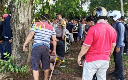 Warga Pringsewu Digegerkan Penemuan Pemuda Gantung Diri di Pohon Asam