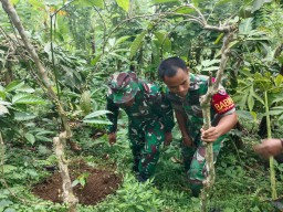 Peduli Lingkungan Hidup Kodim 1617/Jembrana Gelar Program Penanaman Pohon