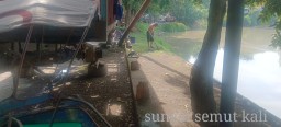 Pagar Sungai Kalimas Di Sepanjang Semut Kali Banyak Hilang Dan Rusak