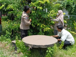 Polsek Waru Masifkan Peran Bhabinkamtibmas Cek Perkembangan Tanaman Ketahanan Pangan