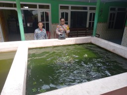 Bhabinkamtibmas Desa Kemantren Cek Lahan P2B untuk Swasembada Pangan Mandiri