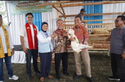 Kabupaten Pringsewu Gelar Festival Qurban 2025 Sambut Idul Adha