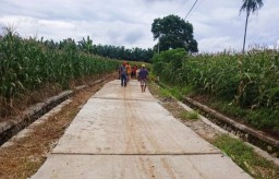 Pemerintah Pekon Fajar Baru Bangun Jalan Rabat Beton Melalui ,ADD Tahap 1 Tahun 2025