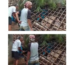 Angin Puting Beliung Porak Porandakan  Rumah Warga di Pekon Banjarrejo 