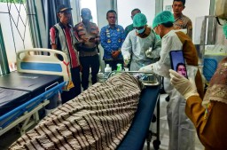 Serangan Buaya Kembali Terjadi ,Polsek Semaka Identifikasi dan Evakuasi Warga Diserang Buaya