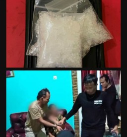 Satresnarkoba Polres Tanggamus Tangkap Pengedar Sabu di Bandar Negeri Semuong, Sita 20 Gram Lebih Narkotika