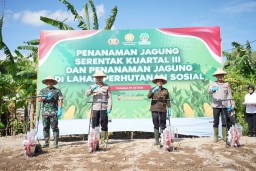 Kasdam IX/Udayana Hadiri Penanaman Jagung Serentak Dukung Swasembada Pangan 2025