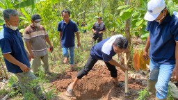 Petani Pringsewu Antusias Tanam Bibit di Hari Ketiga Pelatihan Agroforestri