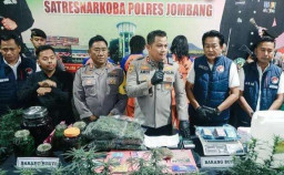 Satreskoba Polres Jombang Berhasil Gagalkan Budidaya dan Peredaran Bibit Ganja , Sekaligus Memberantas Penyalagunaannya