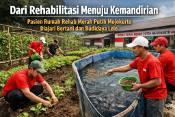 Dari Rehabilitasi Menuju Kemandirian, Pasien Rumah Rehab Merah Putih Mojokerto Diajari Bertani dan Budidaya Lele