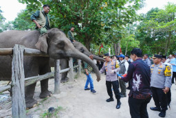 Kapolri-Titiek Soeharto Tinjau Tesso Nilo, Pastikan Konservasi Gajah Aman