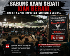 Sabung Ayam Sedati Kian Berani, Disebut 5 April Siap Gelar Event Skala Nasional