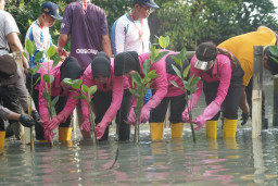 “Sambut HUT ke-46, YKB Tanjung Perak Tanam Mangrove dan Gelar Baksos di Kalianak”