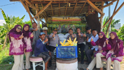 Dukung Program Asta Cita, Polsek Kenjeran Panen Raya 1,8 Ton Jagung Manis di Tambak Wedi. 