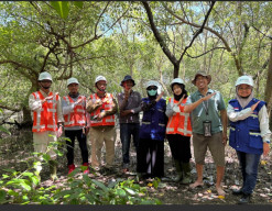 TPS Konsisten Lestarikan Mangrove Sejak 2010, Perkuat Komitmen Pelabuhan Ramah Lingkungan