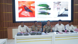 Polres Probolinggo Kota Gagalkan Penyelundupan Satwa Dilindungi, ABK Jadi Tersangka