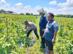 Polresta Sidoarjo Gelorakan Swasembada Pangan Melalui Program P2B