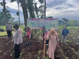 Polri Turun ke Lahan, Dampingi Petani Tanam Jagung Kuartal IV Dukung Swasembada Pangan di Pasuruan 